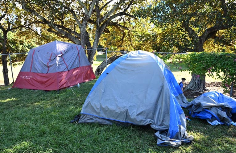 Street count shows surge in homelessness across Port Macquarie LGA