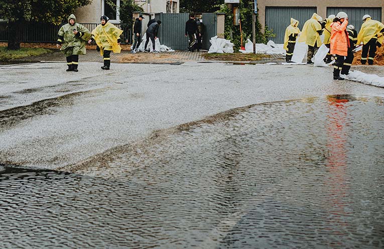 Disaster relief extended for small businesses, primary producers