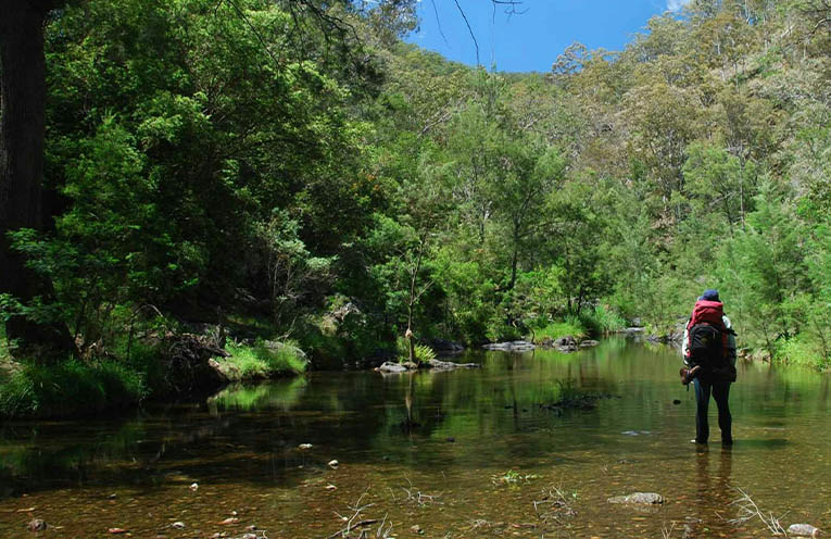 Campaign to promote state’s Great Walks