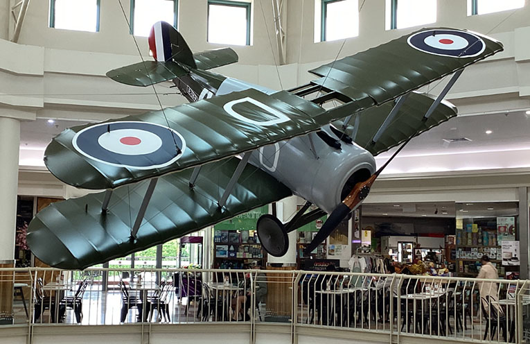 Historic Sopwith Snipe aircraft honours WWII pilot