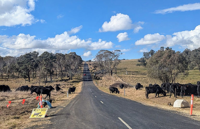 Annual farm census underway across NSW