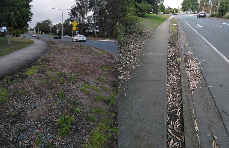 Residents fed up with the neglect of roadside nature strips