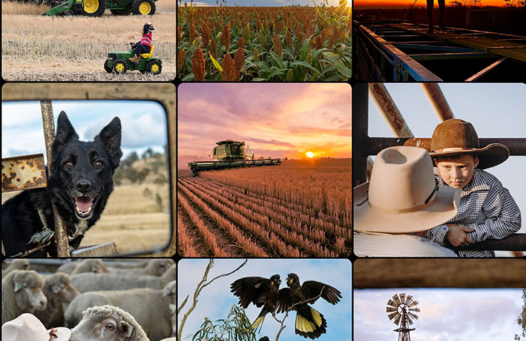 ‘Spirit of the Bush’ competition returns to celebrate life on the land
