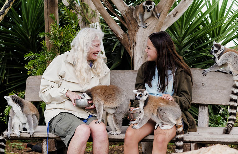 ADVERTISING FEATURE: Wild encounters await at Oakvale Wildlife Park