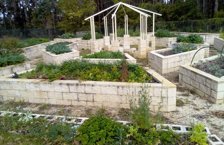 Wauchope Community Garden to host open day and working bee
