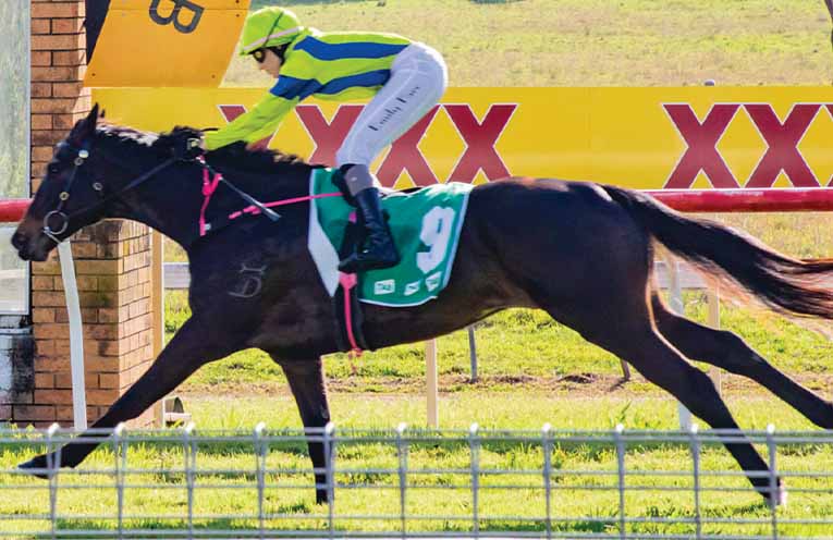 Independent review of thoroughbred racing in NSW