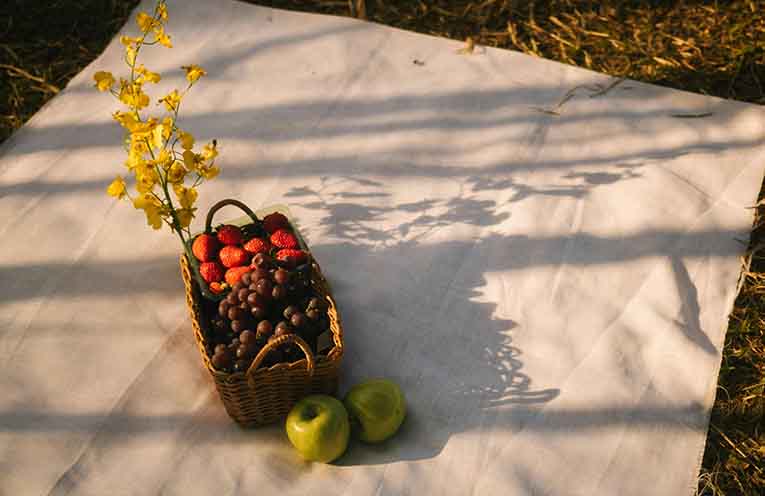 Tender Funerals hosts free memorial picnic in Port Macquarie