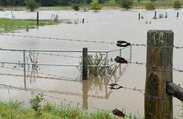 BlazeAid calls for volunteers to help rebuild fences destroyed in Mid North Coast floods