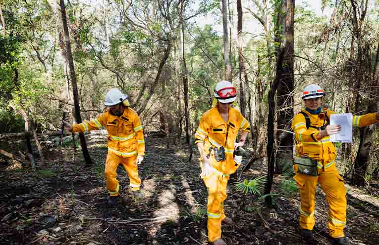 Emergency response group members attend search and rescue training. Photo: Olivia Katz/IFAW.