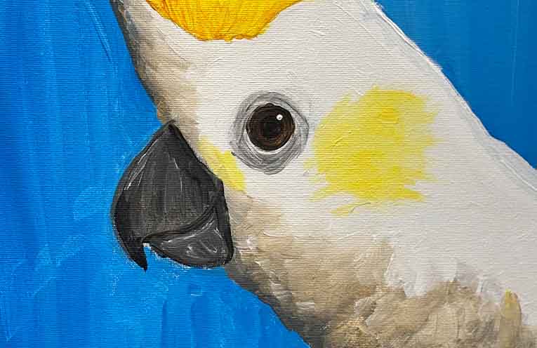 JOY exhibition showcases young Mid North Coast artists at Luminance Art Gallery