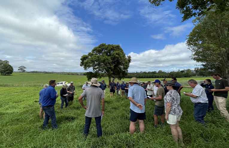 Building farm productivity and resilience on the North Coast
