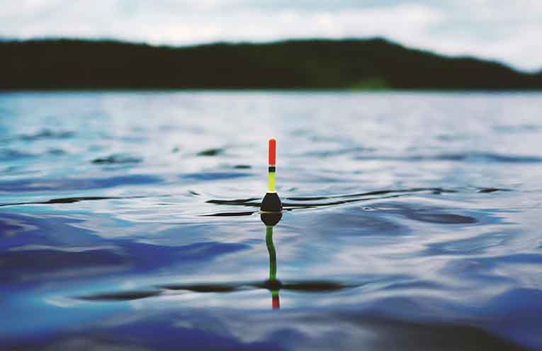 Festive fishing: The region delivers the goods