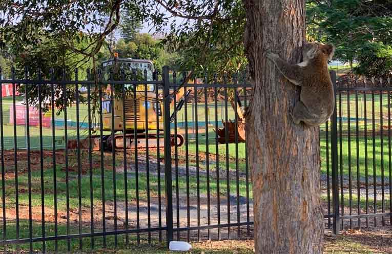 Fed-up parents plan protest as questions mount over Tacking Point preschool