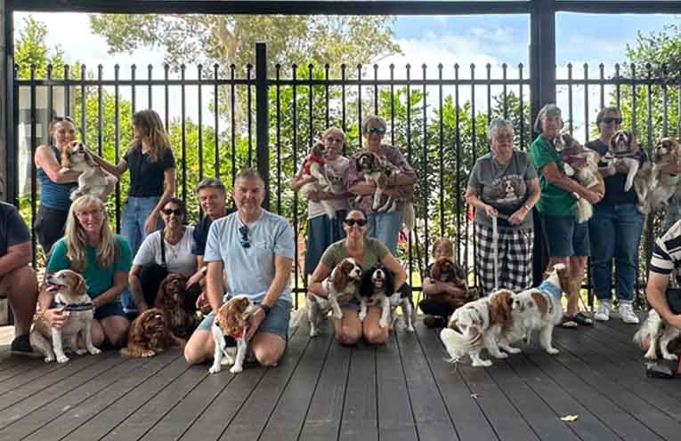 Cavalier King Charles Spaniels turn out in force for monthly meet and greet in Port Macquarie