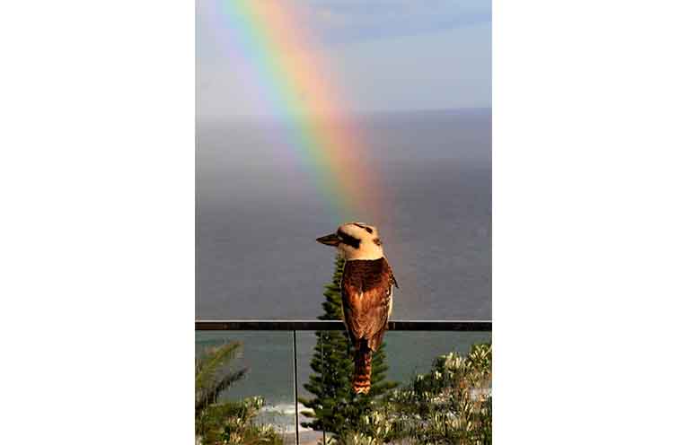 David’s photos reflected his natural affinity with animals. Photo: supplied by the family.