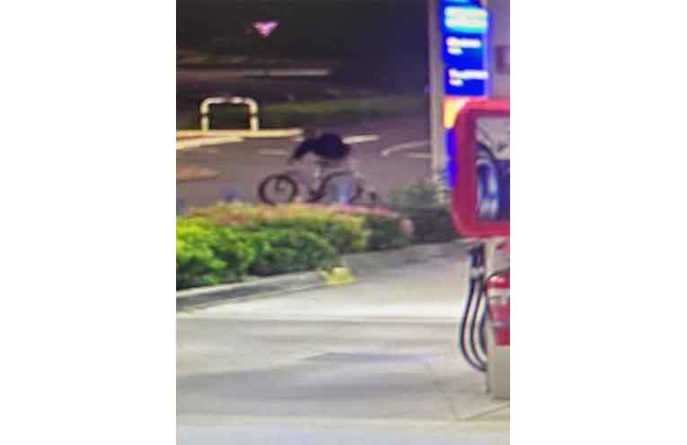 Police have released these images of a man and woman recorded around the time of the Gordon Street stabbing on 2 January. Photos: NSW Police.