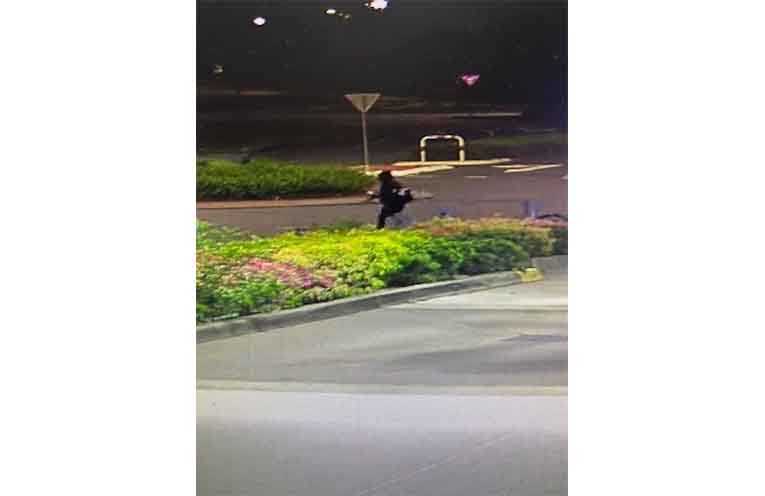 Police have released these images of a man and woman recorded around the time of the Gordon Street stabbing on 2 January. Photos: NSW Police.