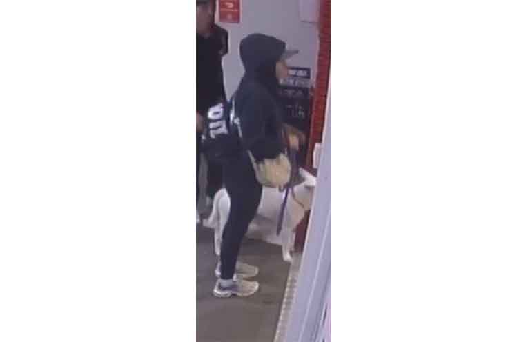 Police have released these images of a man and woman recorded around the time of the Gordon Street stabbing on 2 January. Photos: NSW Police.