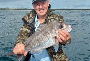 Fishing: Cobia surge at Plomer Bay as sharks challenge anglers