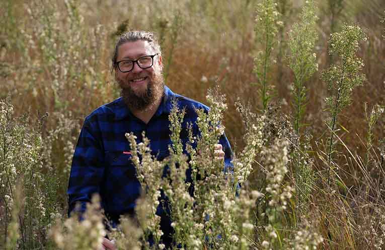 NSW Government invests $1 million to fund biocontrol research to manage weeds