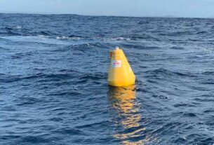 FISHING: Lizards, pelagics, and a missing FAD