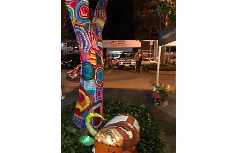 The Murray Street Yarn Bomb was for ArtWalk 2023. Photo: Pauline Cain.