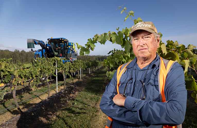 Wine and taxes: only one certainty for small producers