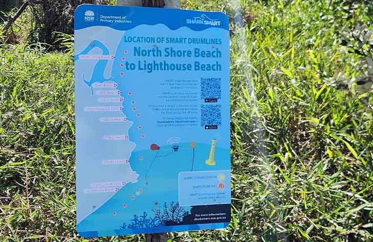 Flurry of shark alerts off Port Macquarie beaches