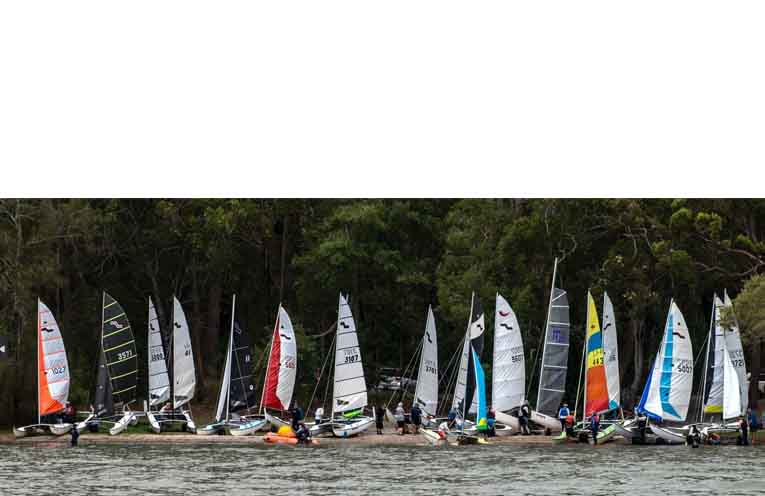 Maricats lined up at Queens Lake.
