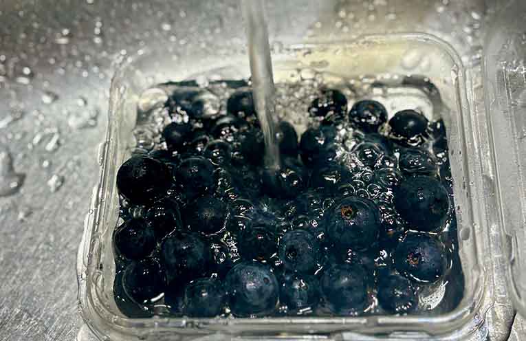 Tests confirm blueberries are safe to eat
