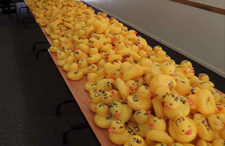 Time to get ‘quacking’ for annual Charity Duck Race