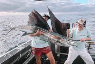 Inshore sailfish bite as hot water and fast currents push toward the coast