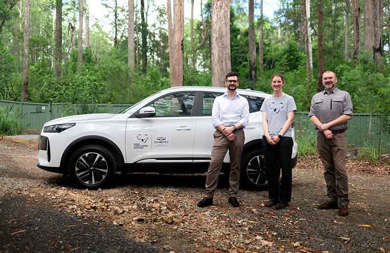 Public invited to name koala joey as $100k boost supports conservation efforts
