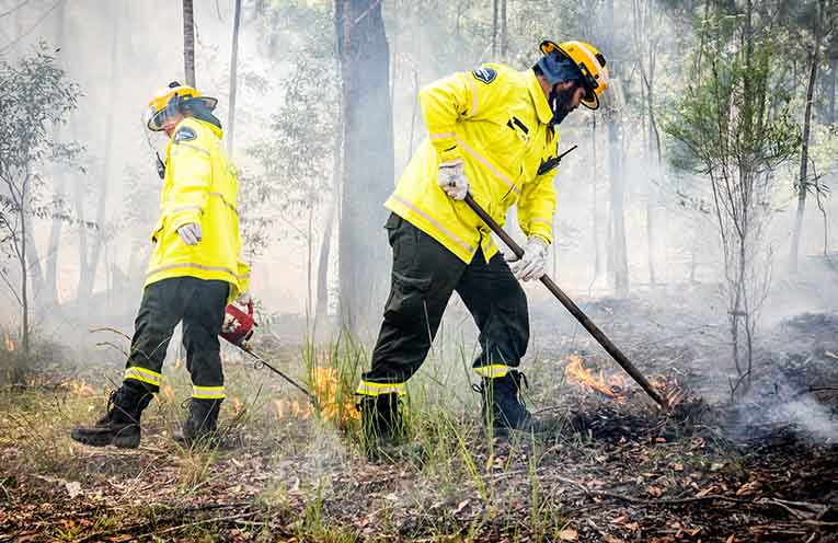 Cultural burn undertaken in Cowarra State Forest