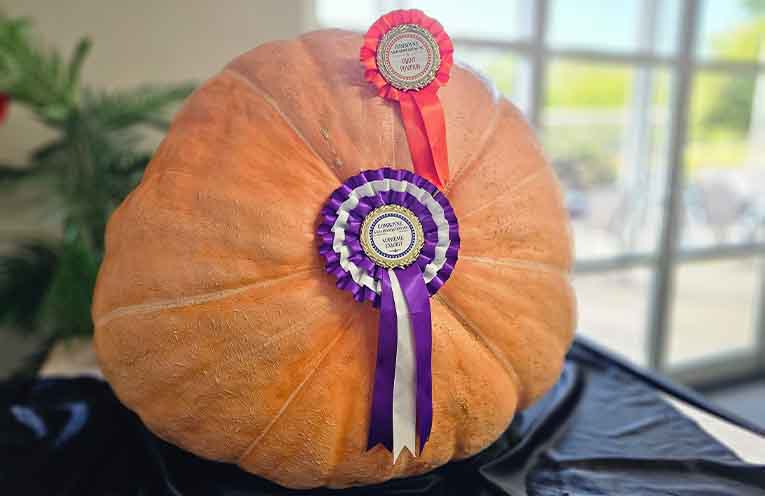 Giant pumpkin a winner for St Joseph’s Regional College students