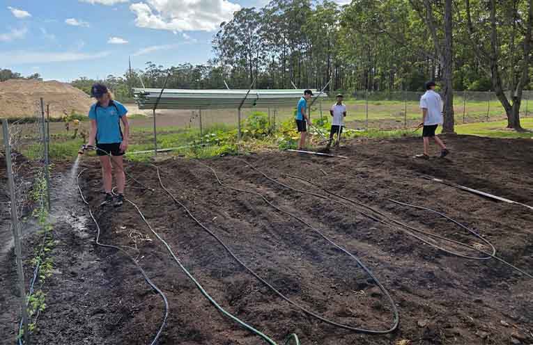 Preparing the ground for next season’s crop. Photo: SJRC/Facebook.