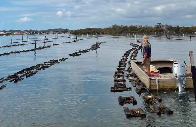 Port Oyster Co.’s Paul Wilson on the ‘farm’. Photo: Port Oyster Company/Facebook.