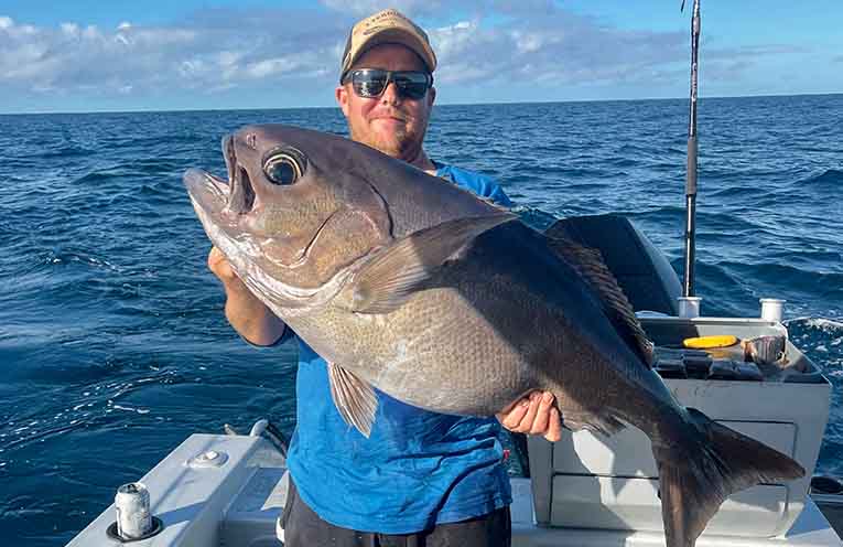 Plenty of fish about on Mid North Coast