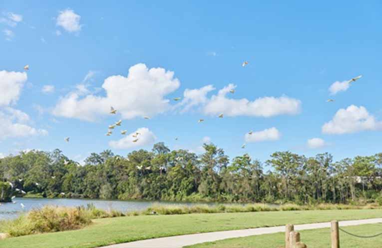 Port Macquarie Hastings Council progresses to next phase of Coastal Management Program