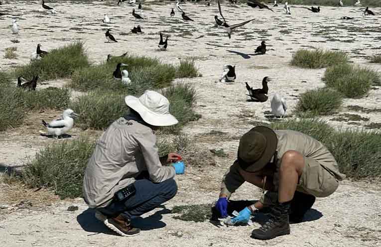 Lord Howe Island residents invited to help shape marine park management