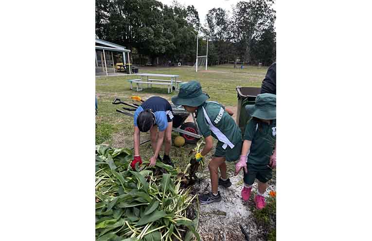 Adventist Development and Relief Agency (ADRA) Community Gardens get a helping hand from Wauchope High School students. Photo: Supplied.