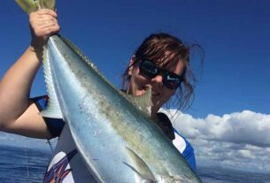 Proposed snapper and kingfish management strategies