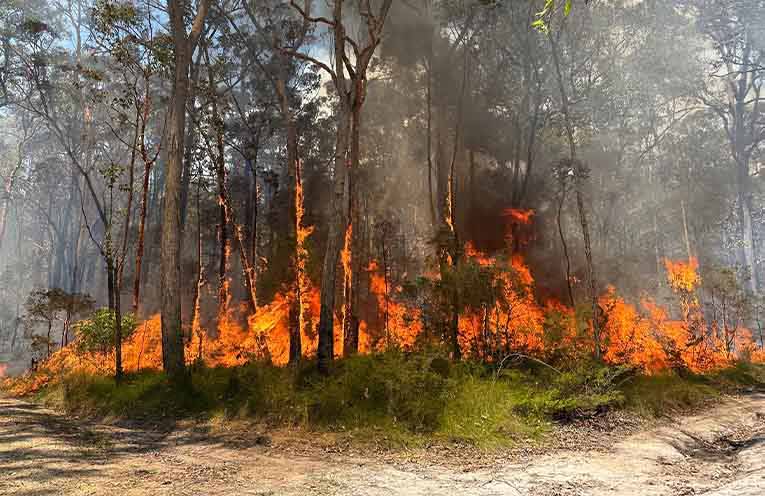 Farmers: don’t wait for disaster – register now for Rural Aid’s assistance