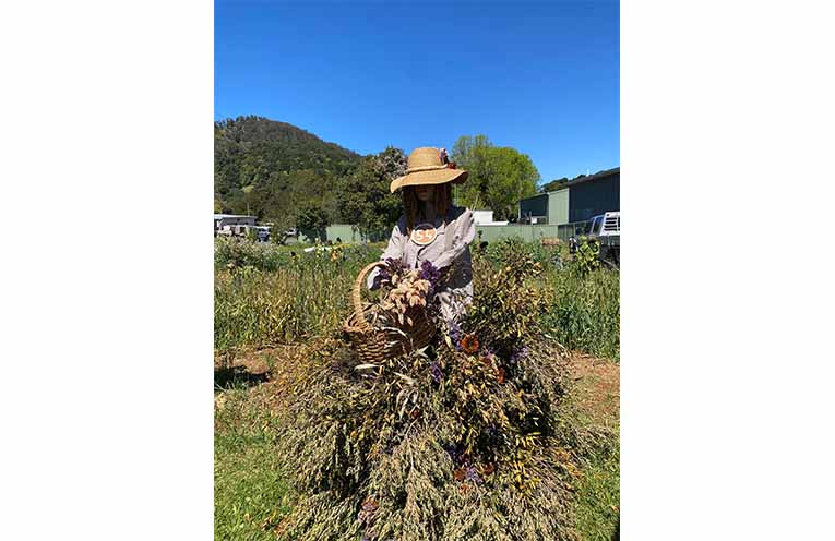 A blossoming scarecrow.