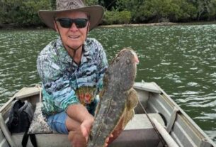 STINKER: The changing face of the Tweed River